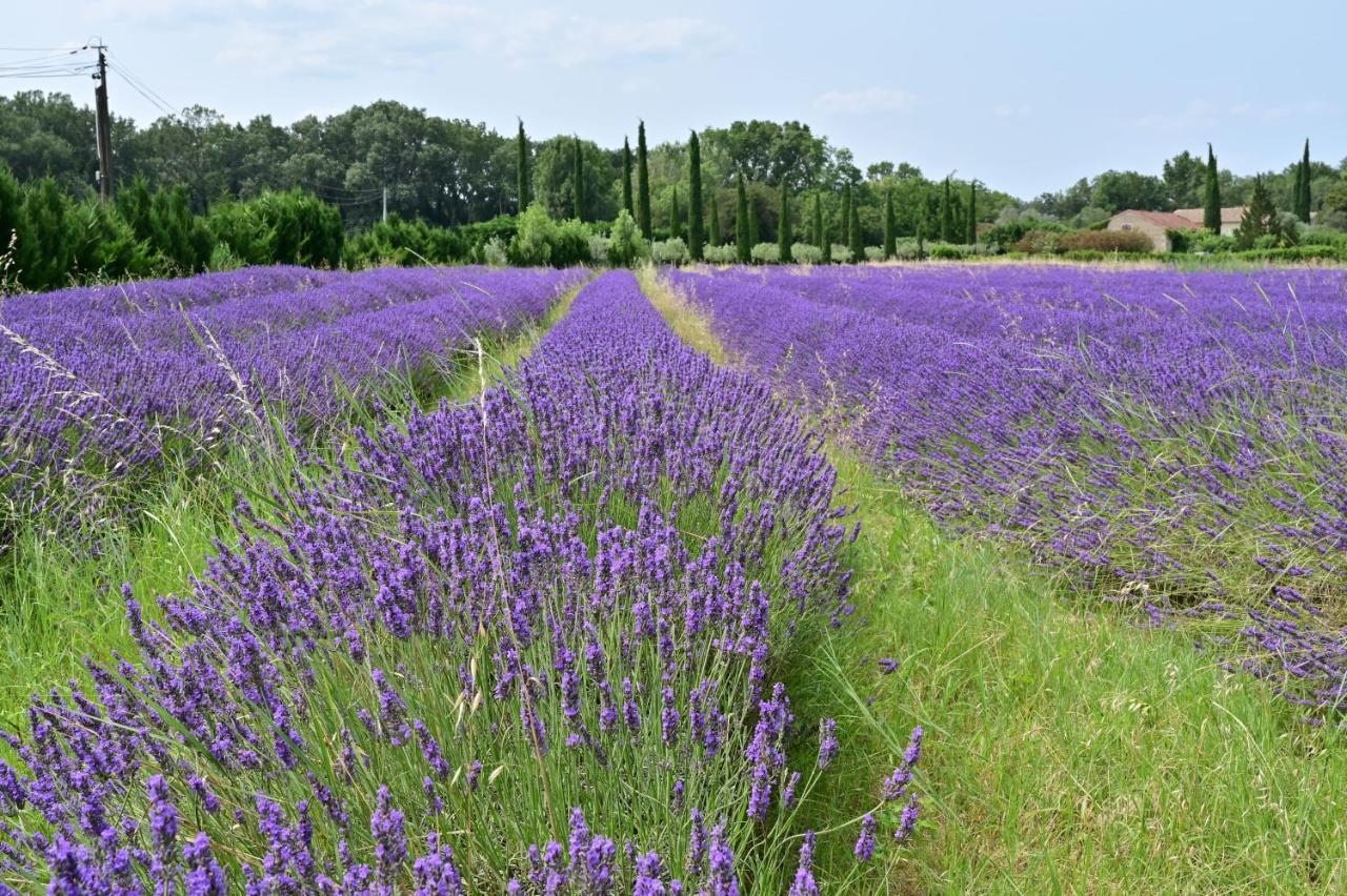 فيلا Gite De Charme "Puisneuf" Proche De Uzes Flaux المظهر الخارجي الصورة